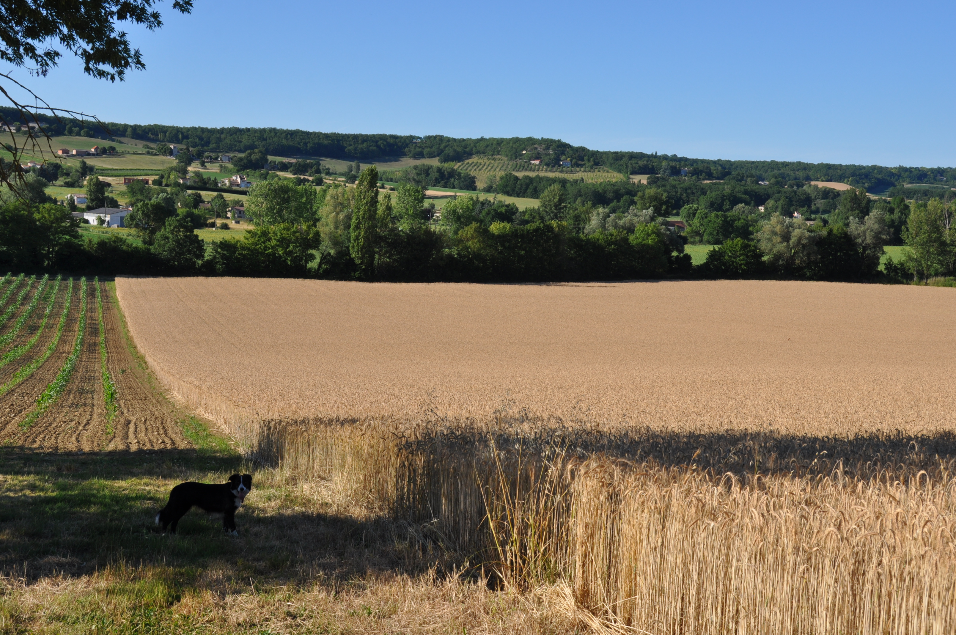 La Ferme Les Bruyères